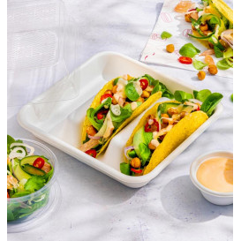 Envase para Tacos de Caña de Azúcar Blanco 18,5x18,5cm (300 Uds)