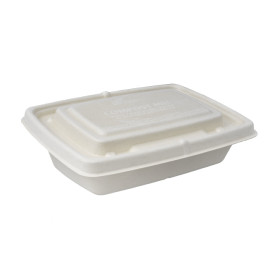 Tapa de Caña de Azúcar para Envase 23x16,5cm (75 Uds)