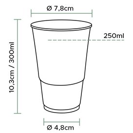 Vaso Reutilizable PP Transparente 300ml (50 Uds)