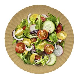 Plato de Cartón Redondo Kraft 23cm 255g/m2 (100 Uds)