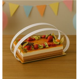 Tiras de Cartón Salva Tartas 55x4cm (20 Kg)