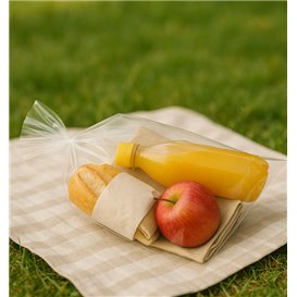 Bolsas Polipropileno Biorientado Sin Cierre 22x32cm G-130 (100 Uds)