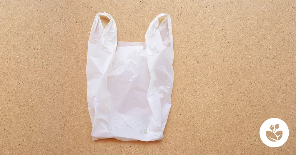 Guía de bolsas de plástico y bolsas biodegradables