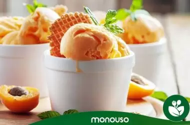Mejores productos para heladería 2025 Monouso