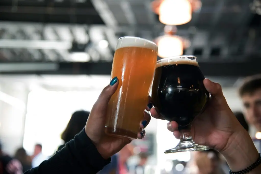 ¿Qué tipos de cerveza hay?