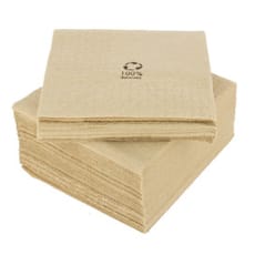 Servilleta de Cocktail Ecológica 20x20cm 2C (100 Uds)
