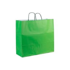 Bolsa Papel Verde con Asas 100g 22+9x23cm (25 Uds)