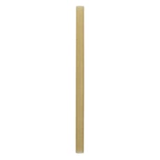 Pajita Eco Recta de Caña de Azúcar Ø0,8cm 15cm (50 Uds)
