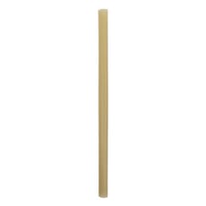Pajita Eco Recta de Caña de Azúcar Ø1,2cm 25cm (50 Uds)