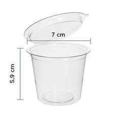 Tarrina Redonda Bisagra APET Transparente 125ml (405 Uds)