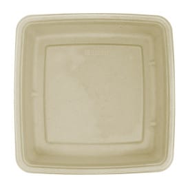 Envase Caña de Azúcar Cuadrado 230x230x40mm (300 Uds)