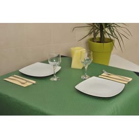 Mantel de Papel Cortado 1x1 Metro Verde 40g (400 Uds)