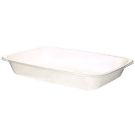 Bandeja Termosellable PP Gastronorm 154x110x25mm (50 Uds)
