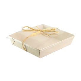 Tapa de Plástico PET Transparente 23x23cm (100 Uds)