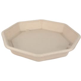 Envase Caña de Azúcar 830ml 230x230x30mm (50 Uds)