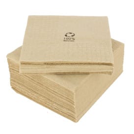 Servilleta de Cocktail Ecológica 20x20cm 2C (100 Uds)