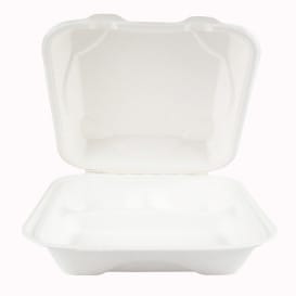Envase Bisagra Caña de Azúcar 3C 23x23x7,5cm (200 Uds)