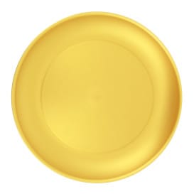 Plato Reutilizable Durable PP Mineral Oro Ø23,5cm (54 Uds)