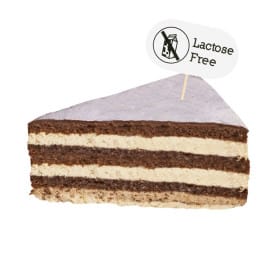 Palillo Marcador Lactose Free 8 cm (2000 Uds)