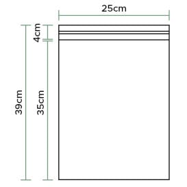 Bolsas Polipropileno CPP Solapa Adhesiva 25x35cm G160 (100 Uds)
