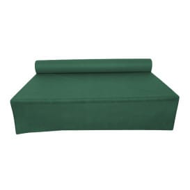 Mantel Rollo Novotex Verde 1,2x50m 50g P40cm (6 Uds)