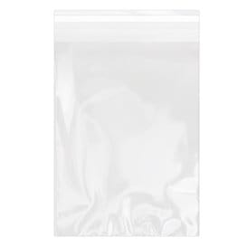 Bolsas de Plástico Biorientado con Solapa Adhesiva 18x25 cm G-160 (1000 Uds)