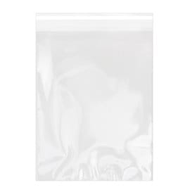Bolsas de Plástico Biorientado con Solapa Adhesiva 22x32 cm G-160 (1000 Uds)