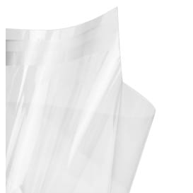 Bolsas de Plástico Biorientado con Solapa Adhesiva 15x22 cm G-160 (100 Uds)