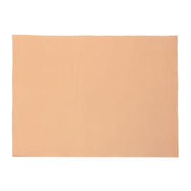 Mantel de Papel Rollo Salmón 1x100m 40g (1 Ud)
