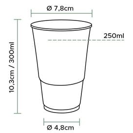 Vaso Reutilizable PP Transparente 300ml (50 Uds)