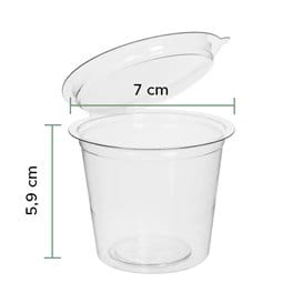 Tarrina Redonda Bisagra APET Transparente 125ml (405 Uds)