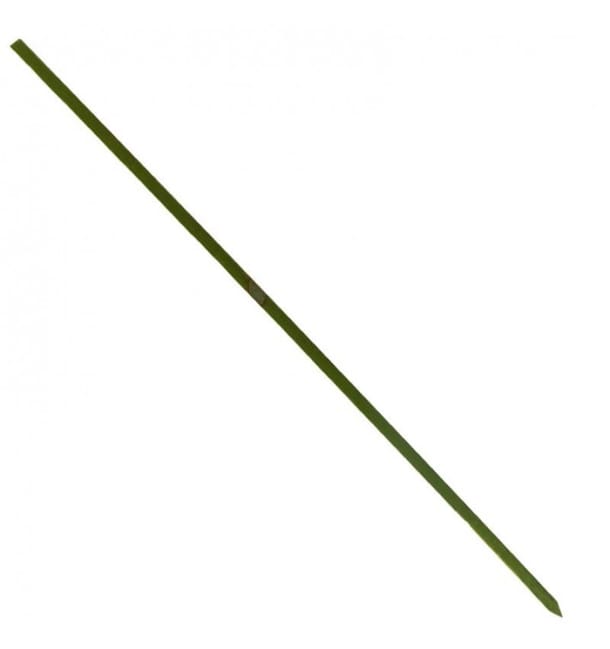Pinchos de Bambu Verde Natural 200mm (200 Uds)