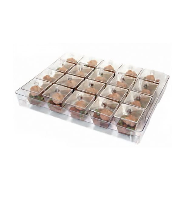 Kit Bandeja + 20 Bols Cuadrados con tapa. Transp. (12 Uds) Kit Bandeja + 20 Bols Cuadrados con tapa. Transp. (12 Uds)