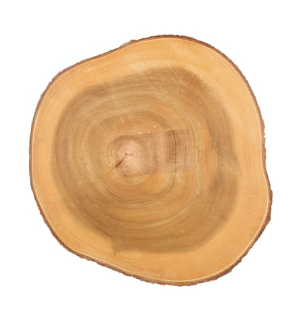 Bandeja Presentación Redonda de Madera Ø230x35mm (1 Ud) Bandeja Presentación Redonda de Madera Ø230x35mm (1 Ud)