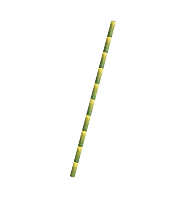 Pajita Recta de Papel Bambu Ø6mm 21cm (250 Uds) Pajita Recta de Papel Bambu Ø6mm 21cm (250 Uds)
