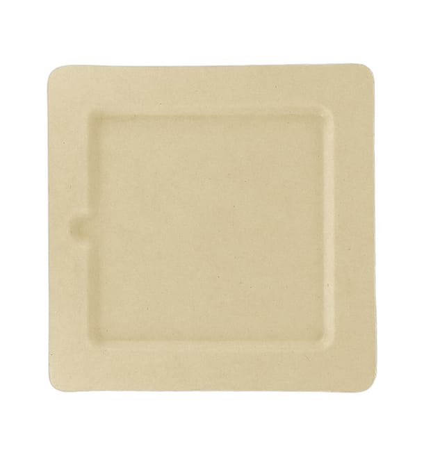 Plato Hendidura Caña de Azucar Natural 20cm (50 Uds) Plato Hendidura Caña de Azucar Natural 20cm (50 Uds)