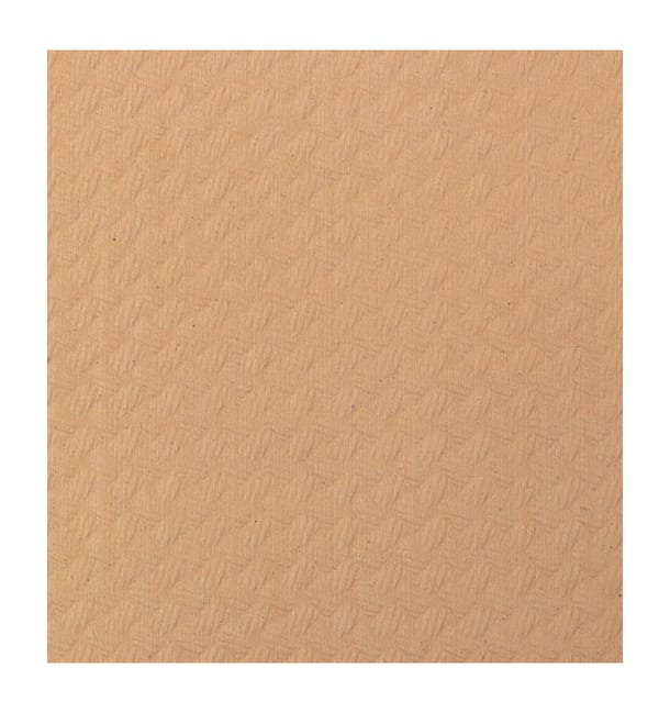 Mantel de Papel Rollo Salmón 1x100m 40g (6 Uds)