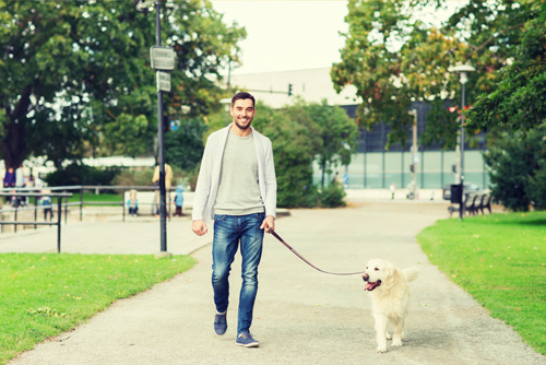 Bolsas biodegradables para caca de perro para recoger las heces de tu  mascota - Monouso Blog